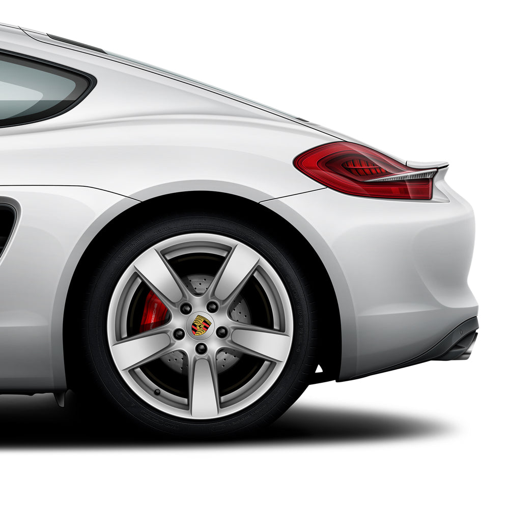 Porsche Cayman Poster Evolution Generations - 981